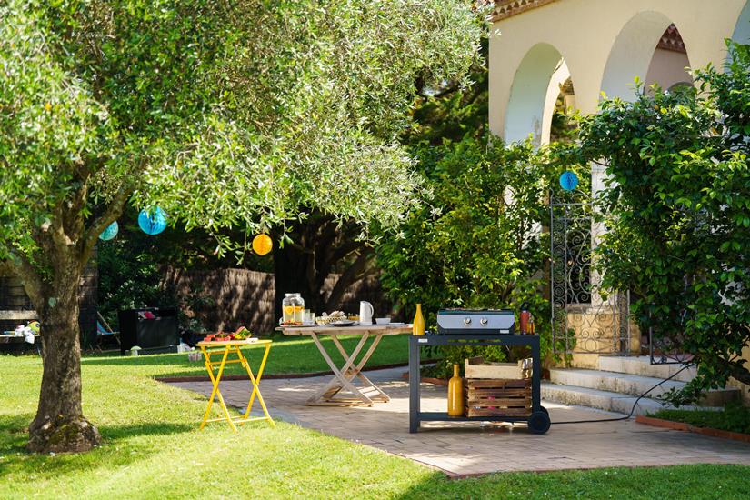 PLANCHA ORIGINAL ELECTRIQUE 260 DUO